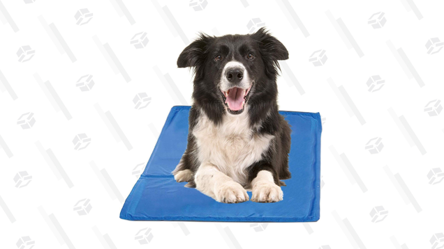Help your dog relieve aches and pains while keeping cool during the summer, with this Hugs Pet Products Chillz Pressure Activated Pet Cooling Gel Pad.